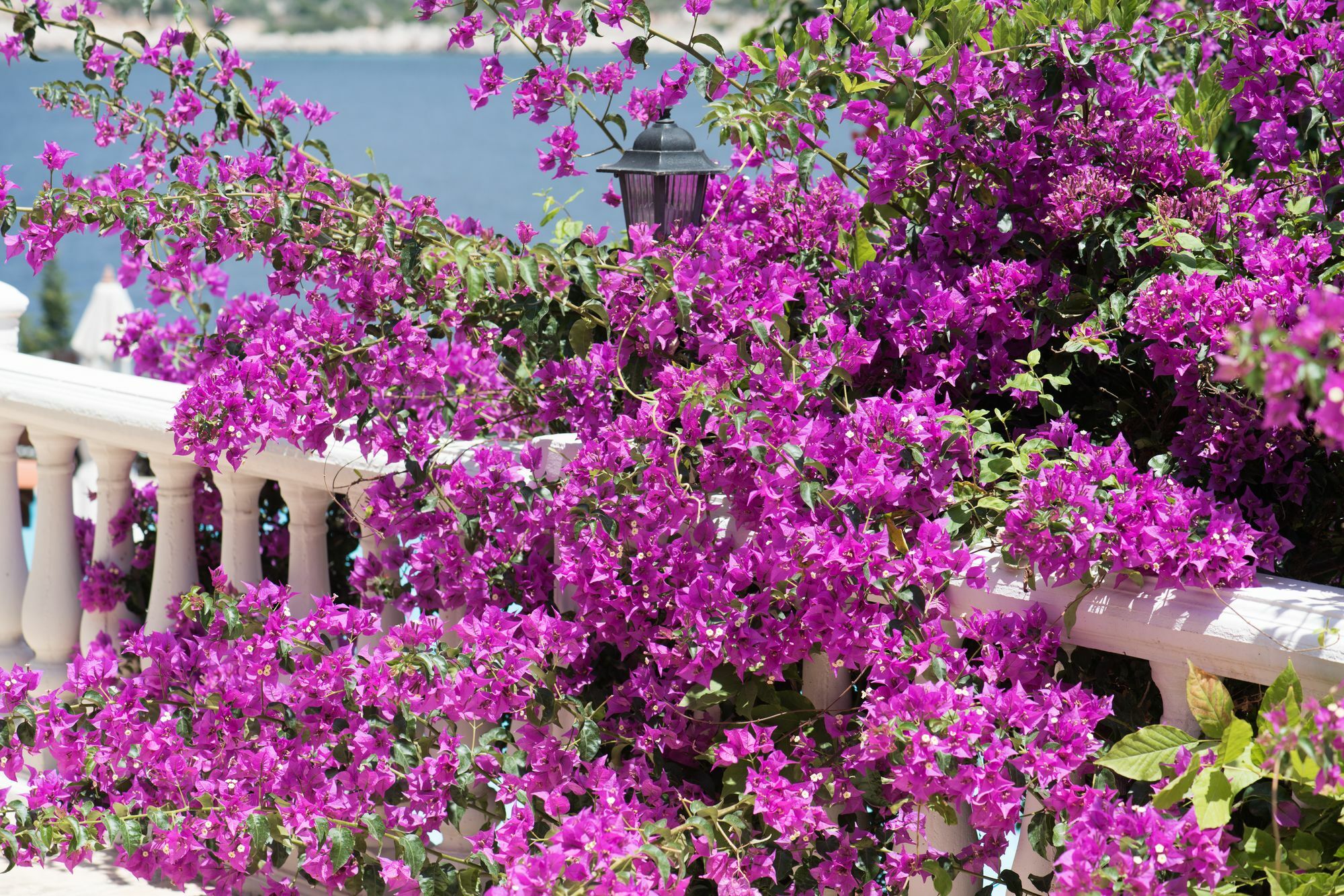 Club Hotel Barbarossa Kaş Ngoại thất bức ảnh